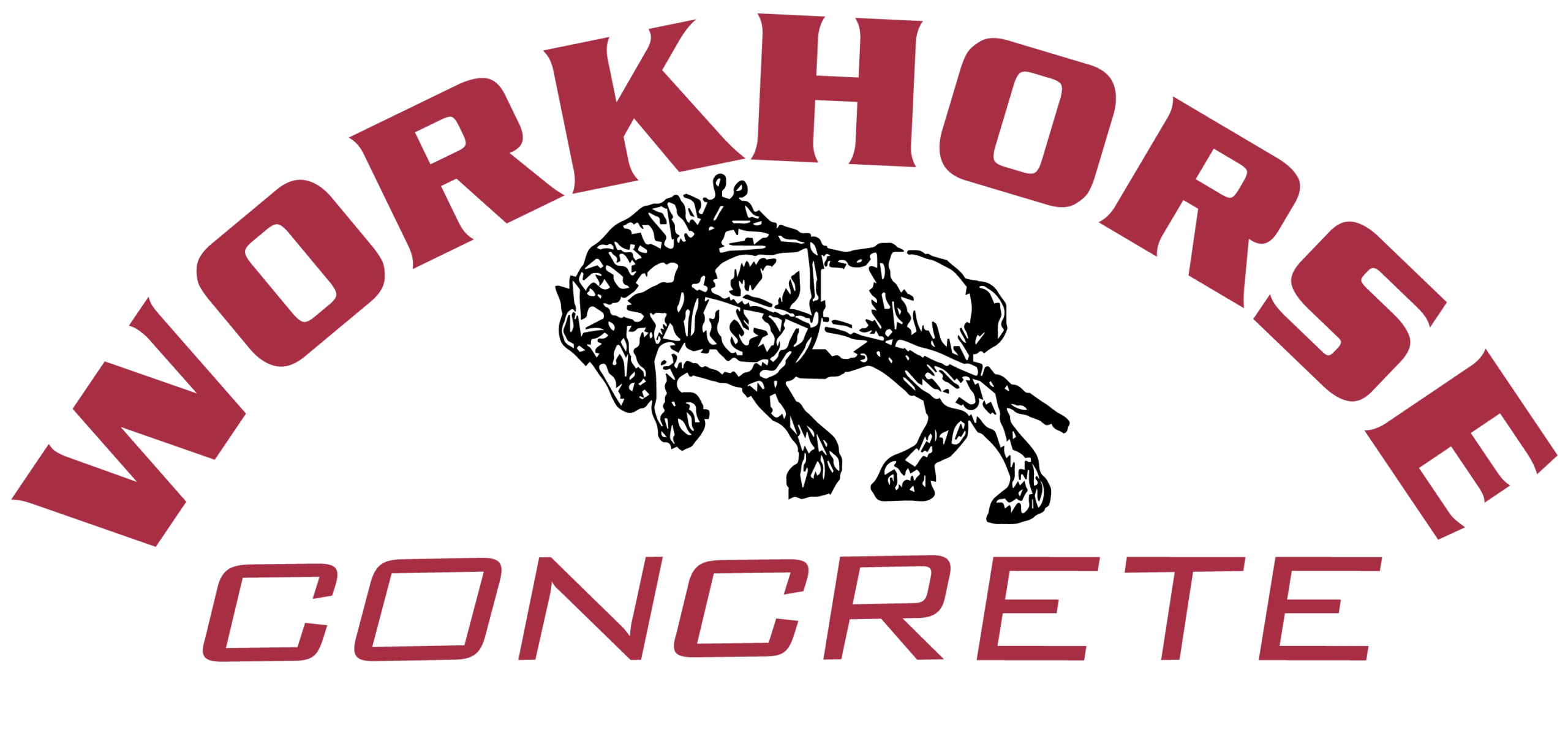 workhorse concrete pana il