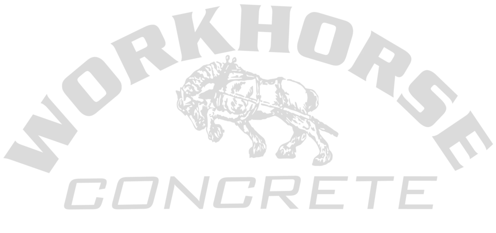 workhorse concrete pana il